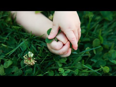 Sleeping At Last – Touch